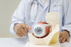 Cross-section diagram of the human eye labeling the iris, cornea, lens, and retina